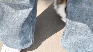 Cat Answering When Called! So Smart! 7