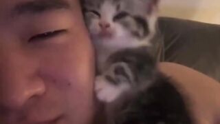 Cat Sneaking Up on a Toy Mouse! 6