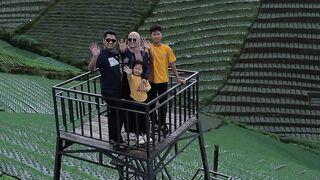 The Beautiful View of the Vegetable Country of Sukomakmur Magelang