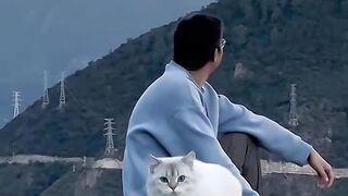 Cat Trying to Drink from a Straw! 12