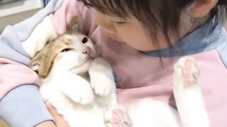 Cat Knocking Everything off the Table! 7