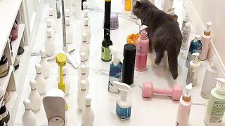 Cat Tries to Walk on Ice! 7
