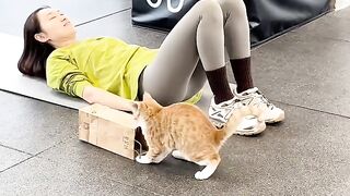 Cat Refuses to Walk on a Leash! 8