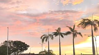 Beautiful Sunset With Palm Trees And Colorful Sky
