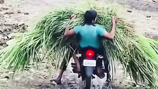 Hiburan 🤣🤣 58