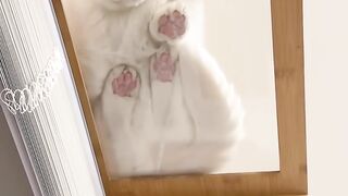 Cat Meowing at the Shower Water! 6