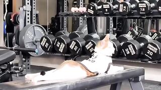Cat Addicted to Olives! 🫒 2