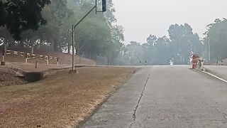 Save our land, stop the haze