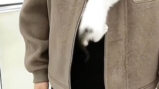 Cat Sleeping in a Fruit Bowl! 8