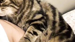 Cat Enjoys a Warm Sunbeam! 5