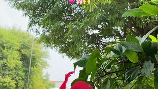 Flowers 🌸