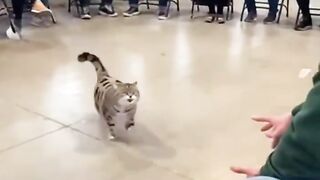 ​"The most touching moment when the pets themselves decide who their chosen human is. Get the tissues ready! 🥹🐾"