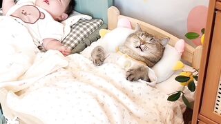 The Loudest Kitten in the World! 📢 9