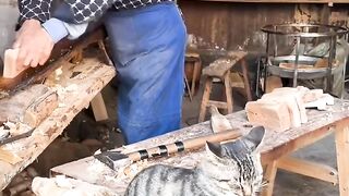 Cat Terrified of the Vacuum Cleaner! 8