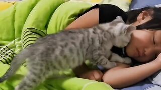 Cat Singing a Song! Hilarious Meow! 8