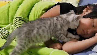 Sleepy Cat Falling off the Couch! 😂 9