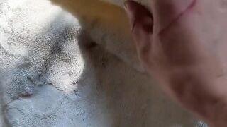 Cat Refuses to Let Owner Work! 8
