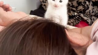 Cat Smelling Durian for the First Time! 😂 8