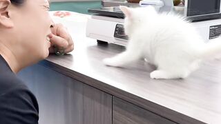 Cat Adopts an Orphaned Squirrel! 8