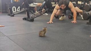 Cat Stealing the Dog's Bone! 13