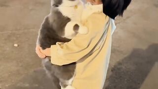 Cat Protecting Owner from a Bug! 9