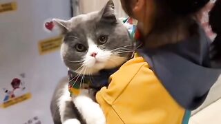 Cat Trying to Drink from a Straw! 16