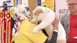 ​"The style of a big boss after participating in a contest: carried on his shoulders while looking cutely at the audience! 😼👑"