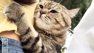Cat Knocking Everything off the Table! 9