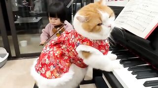 Cat Discovers the Printer! 😂 8
