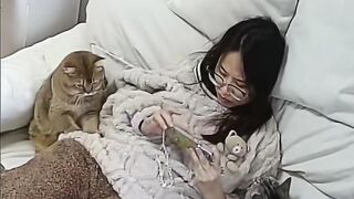 Clumsy Cat Falls off the Bed! 9