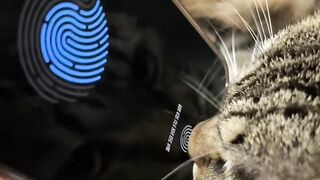 Cat Hates the New Vacuum Cleaner! 9