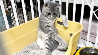 Cat Sneezing Fit in Slow Motion! 8