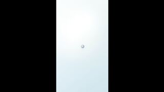 Dandelion Clock Minimalist Animation