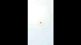 Edelweiss Clock Minimalist Animation