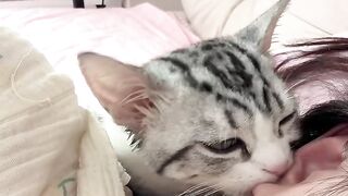 Cat Purring While Eating! 8