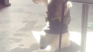 Heartwarming Mother Cat and Kittens! 9