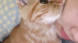Relaxing Cat Purring Sounds for Sleep 💤 10