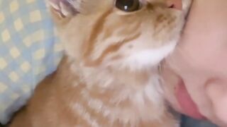 Fat Cat Trying to Fit in Small Bowl! 9