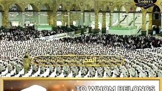 Surah Al-Fajr | Beautiful & Emotional Quran Recitation by Sheikh Yasser Al-Dosari 🤍 | سورة الفجر