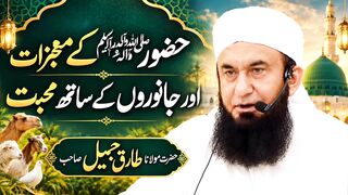 حضور صلی اللہ علیہ وآلہ وسلم کے معجزات  مولانا طارق جمیل صاحب