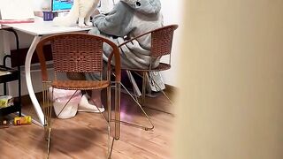 Cat Sleeping in a Fruit Bowl! 10