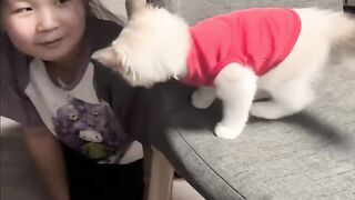 Cat Chattering at a Squirrel! 10