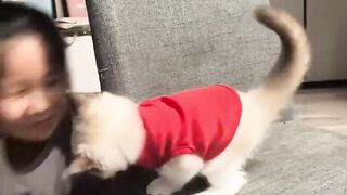 Cat Sneezing Fit in Slow Motion! 9