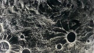 The Mysterious Beauty of the Moon 🌑✨