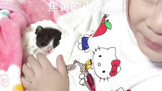 Cat vs Mirror: Epic Battle! 😂 11