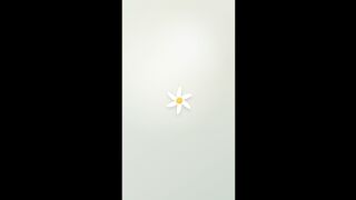 Calming White Flower Animation