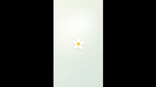 Plumeria CLock Minimalist Animation