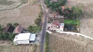 Flying Over a Peaceful Village Road - Stunning Rice Field Drone View*