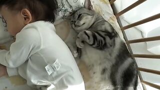 Cat Tries to Walk on Ice! 11