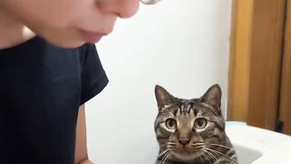 Cat Rolling in Fresh Catnip! 10